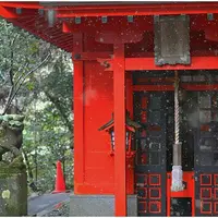 箱根神社の写真・動画_image_127248