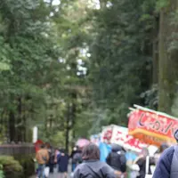 箱根神社の写真・動画_image_127252