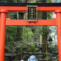 箱根神社の写真・動画_image_127253