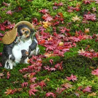 最勝院高徳庵の写真・動画_image_12808