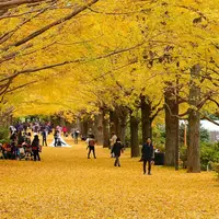 国営昭和記念公園の写真・動画_image_128512