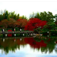 国営昭和記念公園の写真・動画_image_128515