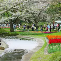 国営昭和記念公園の写真・動画_image_128523
