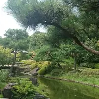 白鳥庭園の写真・動画_image_128854