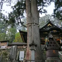 三峯神社の写真・動画_image_12970