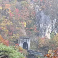 鳴子峡の写真・動画_image_133624