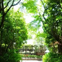 西宮市北山緑化植物園の写真・動画_image_133685