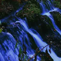 白糸の滝の写真・動画_image_134175