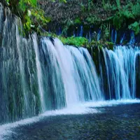 白糸の滝の写真・動画_image_134176