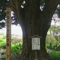祇園山 安養院の写真・動画_image_134706
