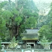若狭姫神社の写真・動画_image_135382