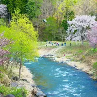 大出公園の写真・動画_image_136252