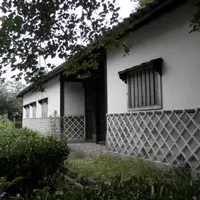 福岡城跡の写真・動画_image_13856