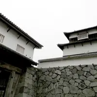 福岡城跡の写真・動画_image_13993