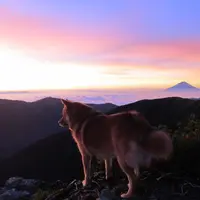 八ケ岳山荘の写真・動画_image_14174