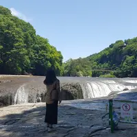 吹割の滝の写真・動画_image_142305