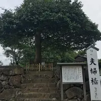八重垣神社の写真・動画_image_146877