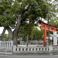 玉前神社の写真・動画_image_14710