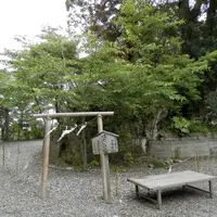 玉前神社の写真・動画_image_14713