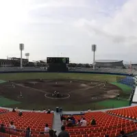静岡県草薙総合運動場硬式野球場の写真・動画_image_14877