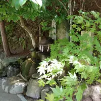 玉作湯神社の写真・動画_image_148909