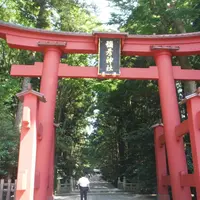 彌彦神社の写真・動画_image_155393