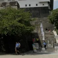 大阪城の写真・動画_image_15916