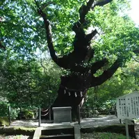 那須温泉神社の写真・動画_image_160376