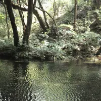 冷水の池の写真・動画_image_162605
