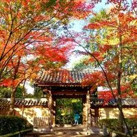 実相院の写真・動画_image_169865