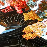 実相院の写真・動画_image_169866