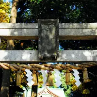 世田谷八幡宮の写真・動画_image_169871