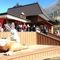 ～河口湖～ 富士山パノラマロープウェイ（Mt. FUJI PANORAMIC ROPEWAY）の写真・動画_image_175404