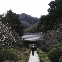 浄妙寺の写真・動画_image_183185
