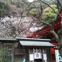 荏柄天神社の写真・動画_image_183187