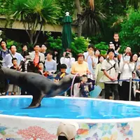 サンシャイン水族館の写真・動画_image_203025