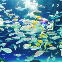 サンシャイン水族館の写真・動画_image_203043
