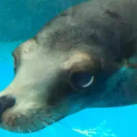 サンシャイン水族館の写真・動画_image_207380