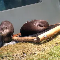 サンシャイン水族館の写真・動画_image_207382