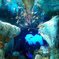 サンシャイン水族館の写真・動画_image_207413