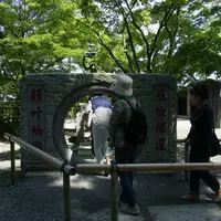 高尾山薬王院（有喜寺）の写真・動画_image_2078