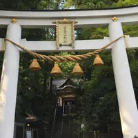 宝登山神社の写真・動画_image_225518