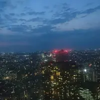 Good View Tokyo - グッドビュー東京の写真・動画_image_244903