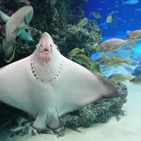 サンシャイン水族館の写真・動画_image_256296