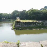 萩城跡指月公園の写真・動画_image_2566