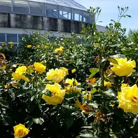 高岡おとぎの森公園の写真・動画_image_279949