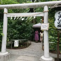 川越熊野神社の写真・動画_image_292957