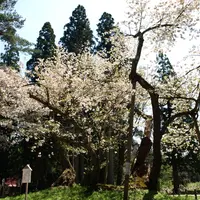 磐椅神社の写真・動画_image_3222