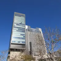 スイスホテル南海大阪の写真・動画_image_341694