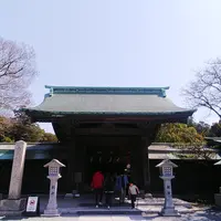 宗像大社の写真・動画_image_353591